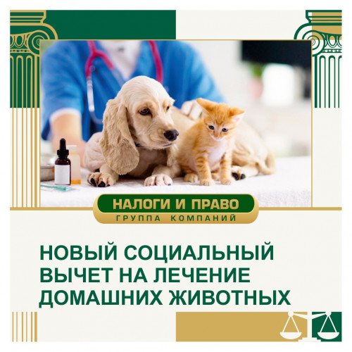 Новый социальный вычет на лечение домашних животных